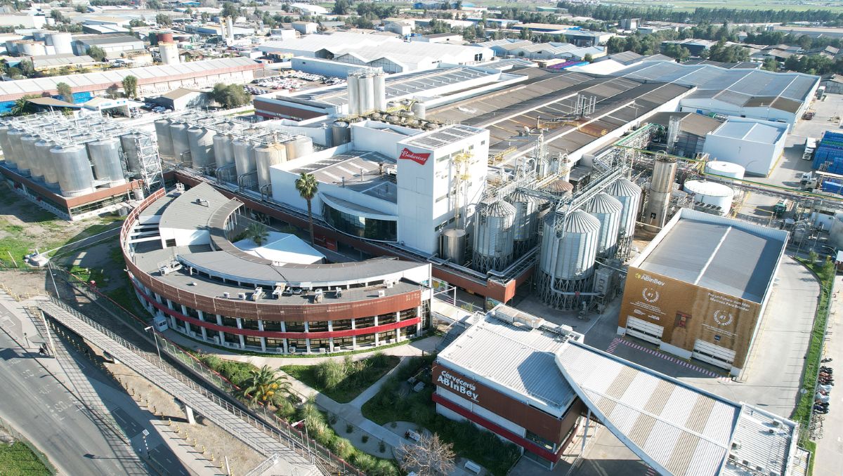 La millonaria querella de la cervecería más grande del mundo contra empresa de pallets chilena: los acusan de estafa de $460 millones por doble facturación