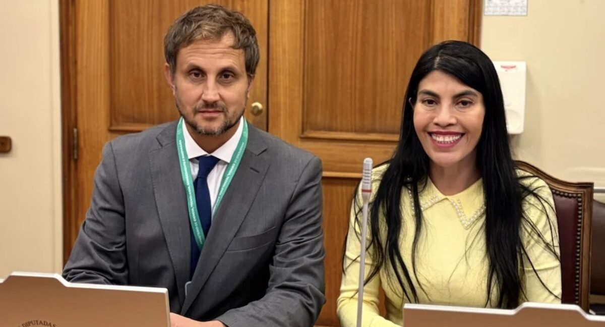 renuncia subsecretario Rafael Araos