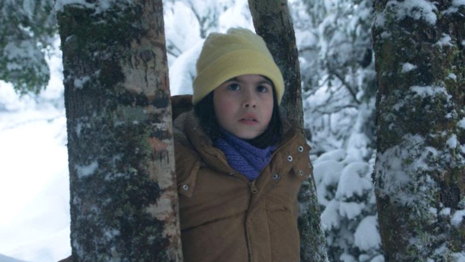 “El deshielo” de Manuela Martelli debutó en Cannes con positiva recepción del público