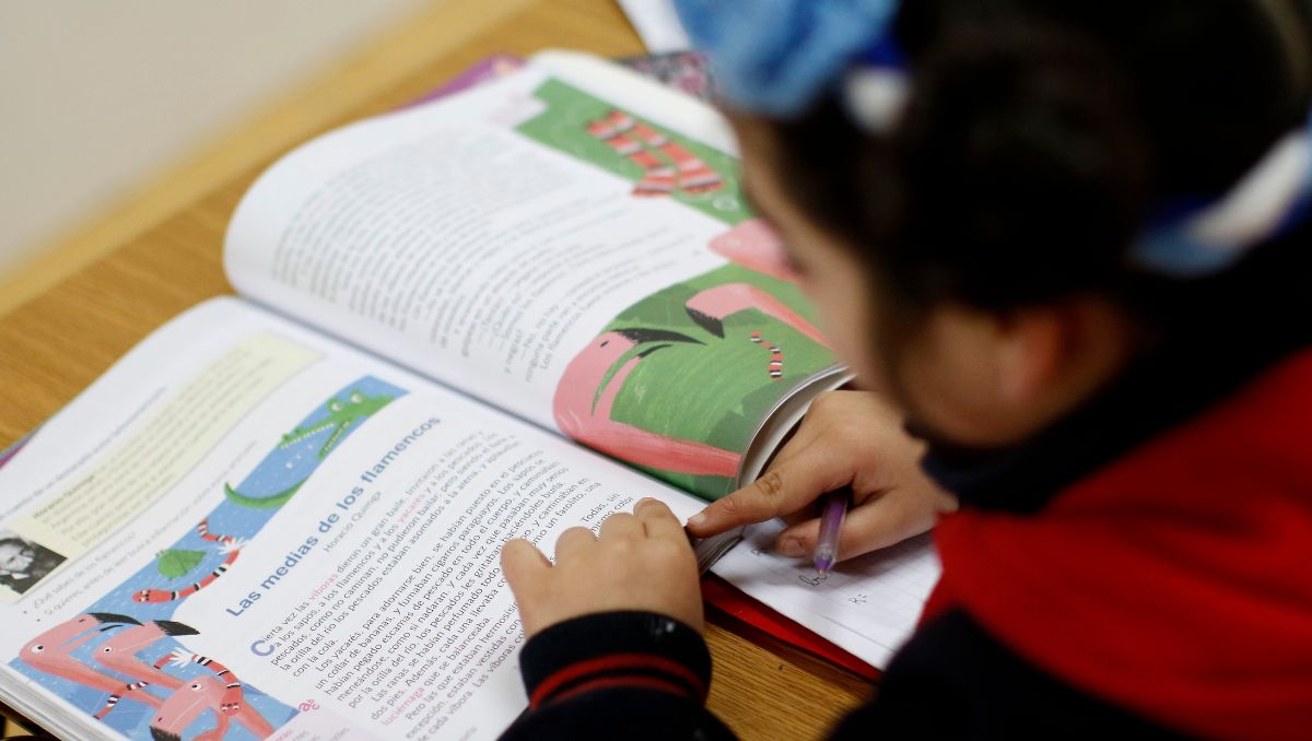 Estudiantes con necesidades especiales en el programa PIE alcanzan cifra récord y ya representan el 13% de la matrícula escolar