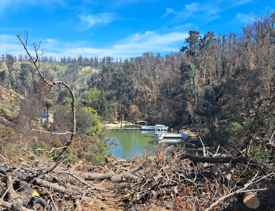 En el incendio del Jardín Botánico de Viña del Mar