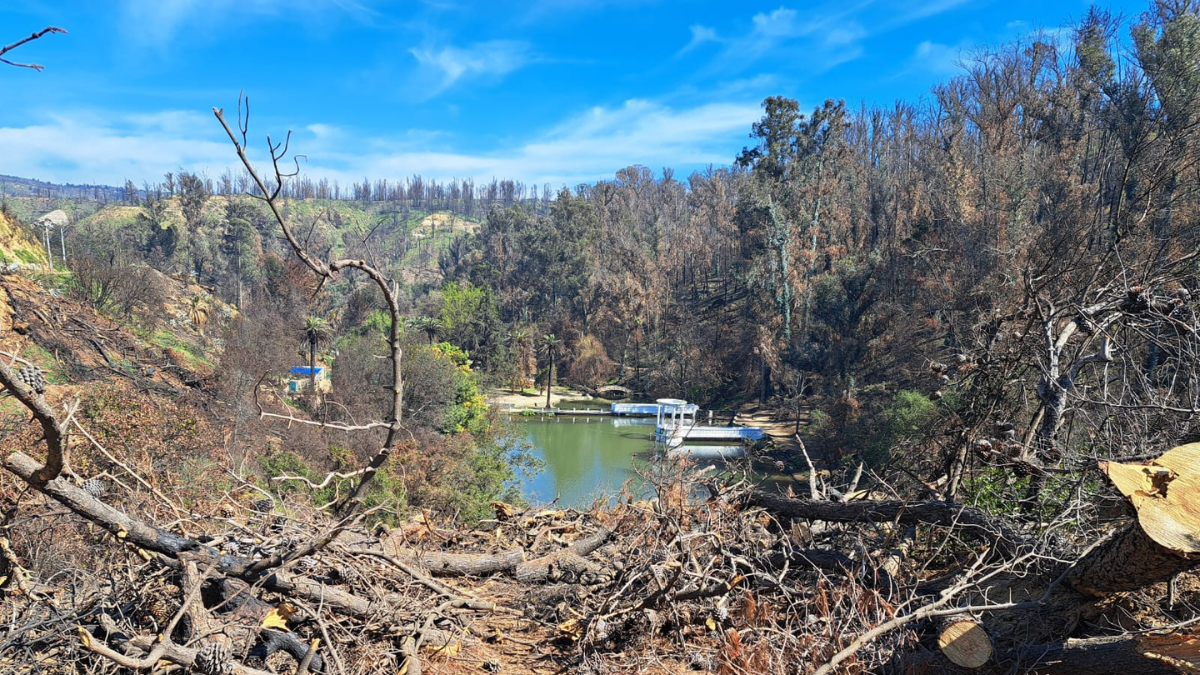 Investigación explora los tres factores naturales que propiciaron el incendio en Jardín Botánico de Viña del Mar