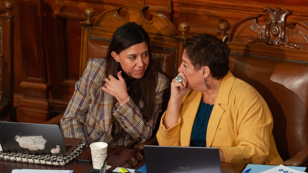 Oposición afirma estar “organizada, unida y fuerte” para hacer frente a la megarreforma en el Senado: rechazarán la idea de legislar