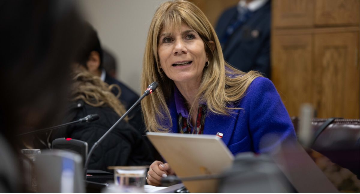 Ministra Rincón confirma que enviará pronto un nuevo proyecto de ley de subsidios eléctricos y congela el de subsidios cruzados