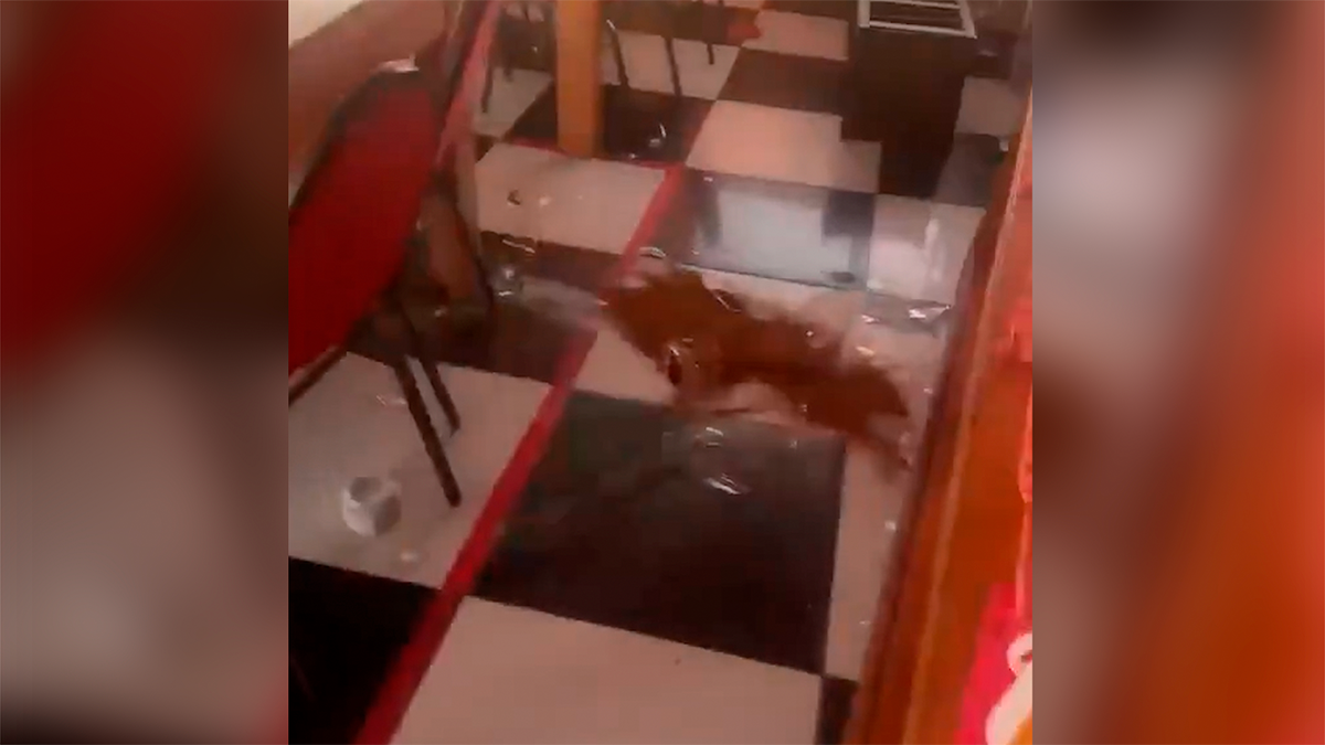 VIDEO | Así se vivió el sismo de magnitud 6,9 en Calama