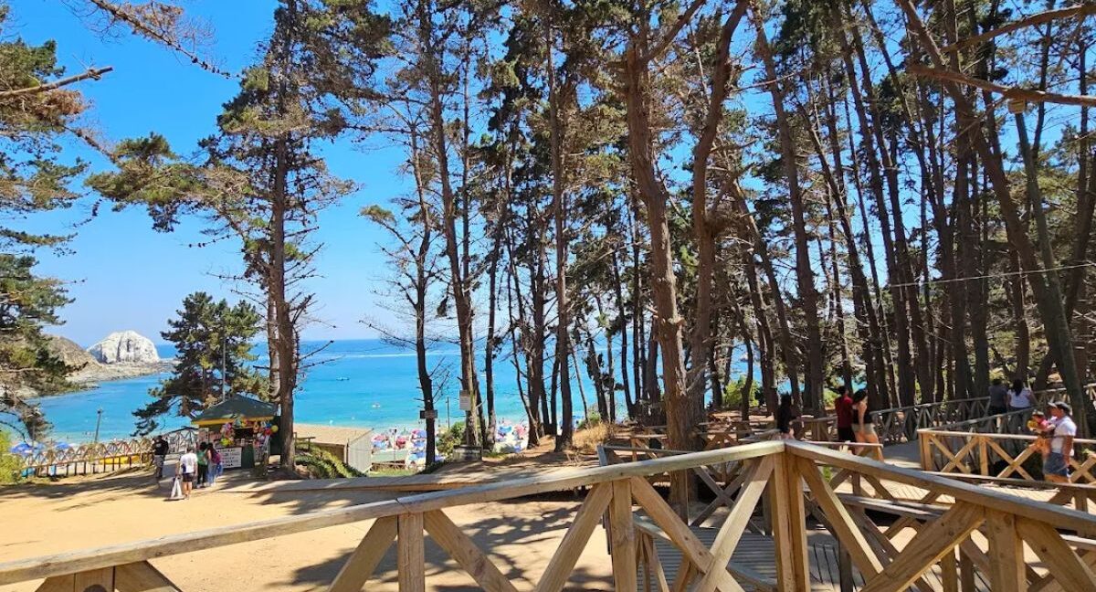 Playa Canelo en Algarrobo
