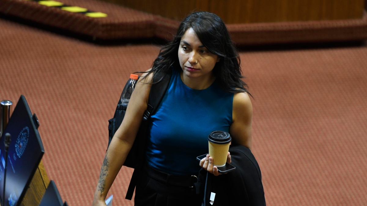 Schönhaut y la llegada de Jessica Flores a Prodemu: “La ministra se equivoca nombrando personas que parecen más comprometidas con barras bravas”