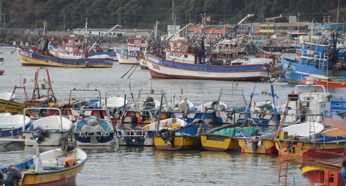 pescadores artesanales