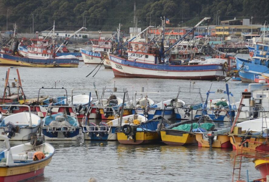 pescadores artesanales