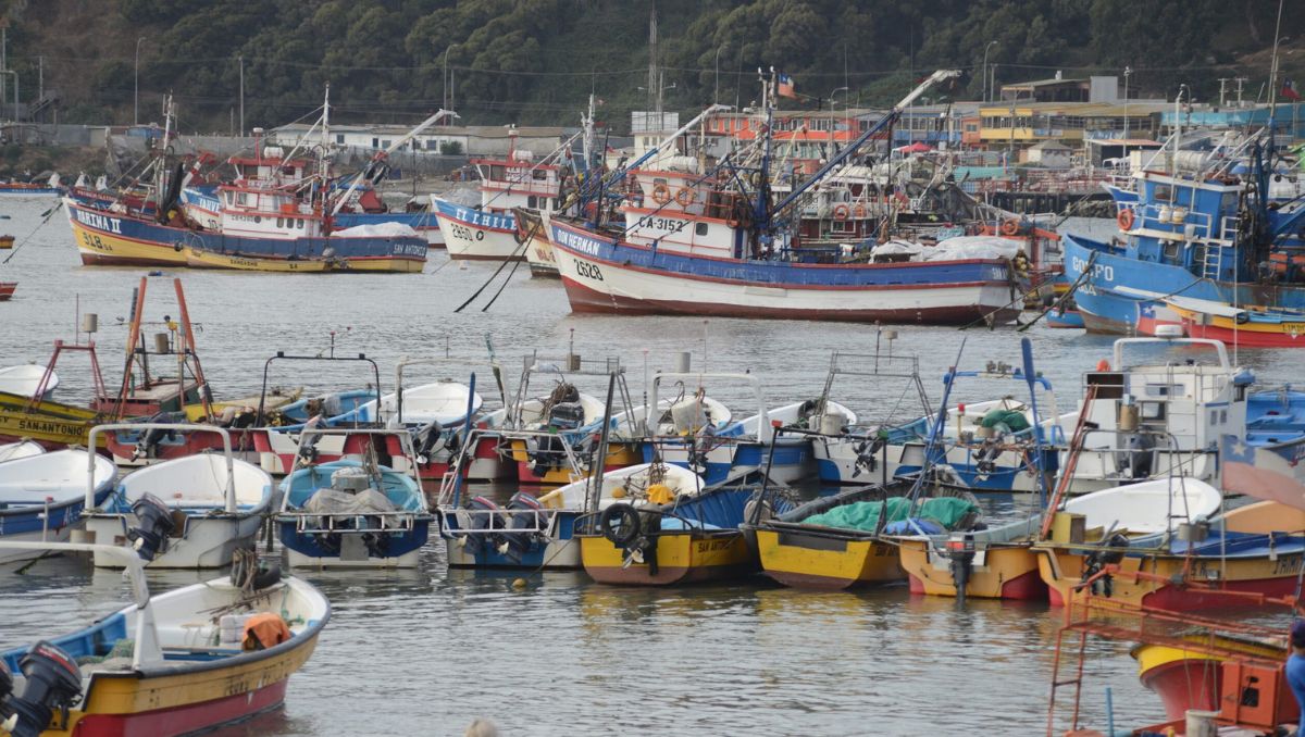 Gobierno anuncia bono para pescadores artesanales por alza del combustible: Conoce aquí los montos y requisitos