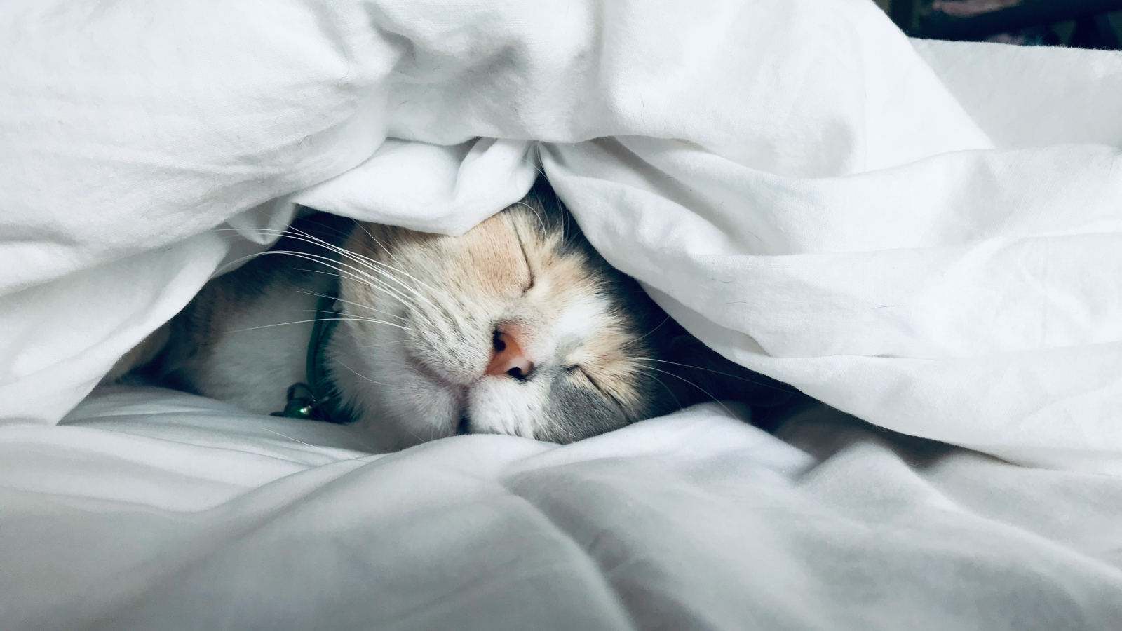 “Si comprimes demasiado las capas, eliminas aire y abriga menos”: Experto explica la fórmula ideal para armar la cama en invierno y por qué menos frazadas es mejor