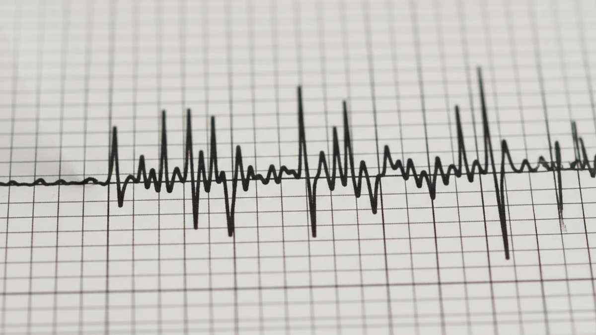 Temblor de magnitud 6,0 se sintió de Coquimbo a Maule: SHOA informa que informa que no hay riesgo de tsunami