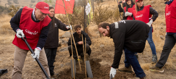 Autoridades reforestandoel Parque El Rosal.