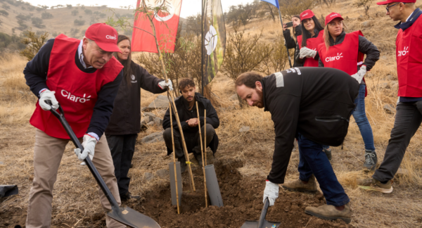 Autoridades reforestandoel Parque El Rosal.