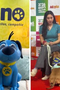 KNino en Expo Mascotas