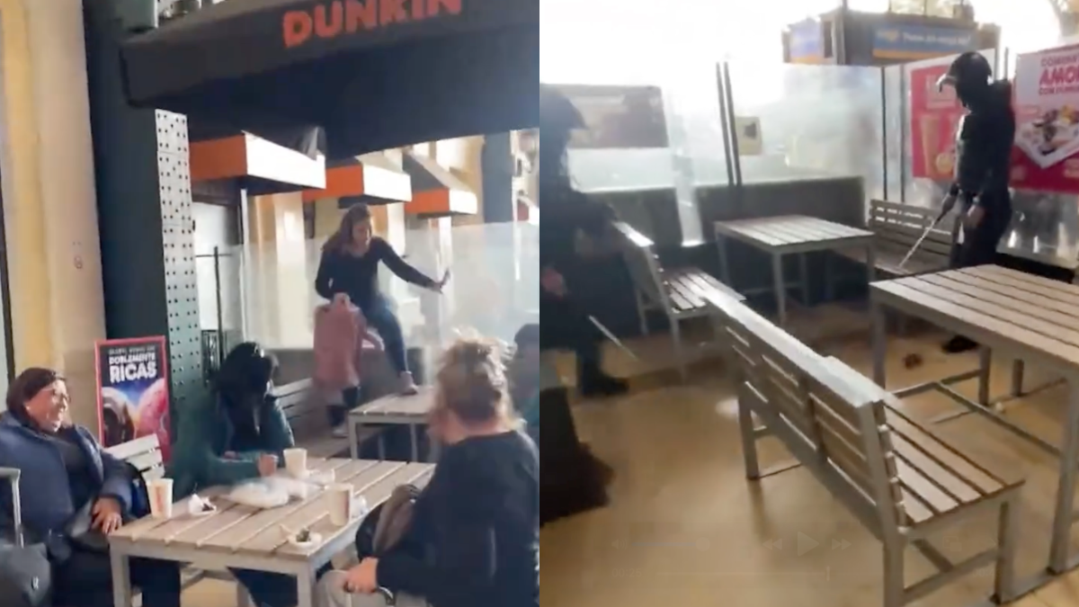 Ratón volador provocó caos en patio de comidas de Estación Central