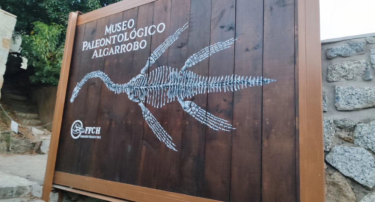 Museo Paleontológico de Algarrobo