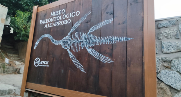 Museo Paleontológico de Algarrobo