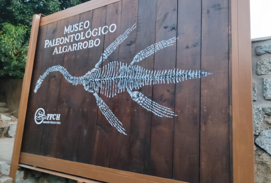 Museo Paleontológico de Algarrobo