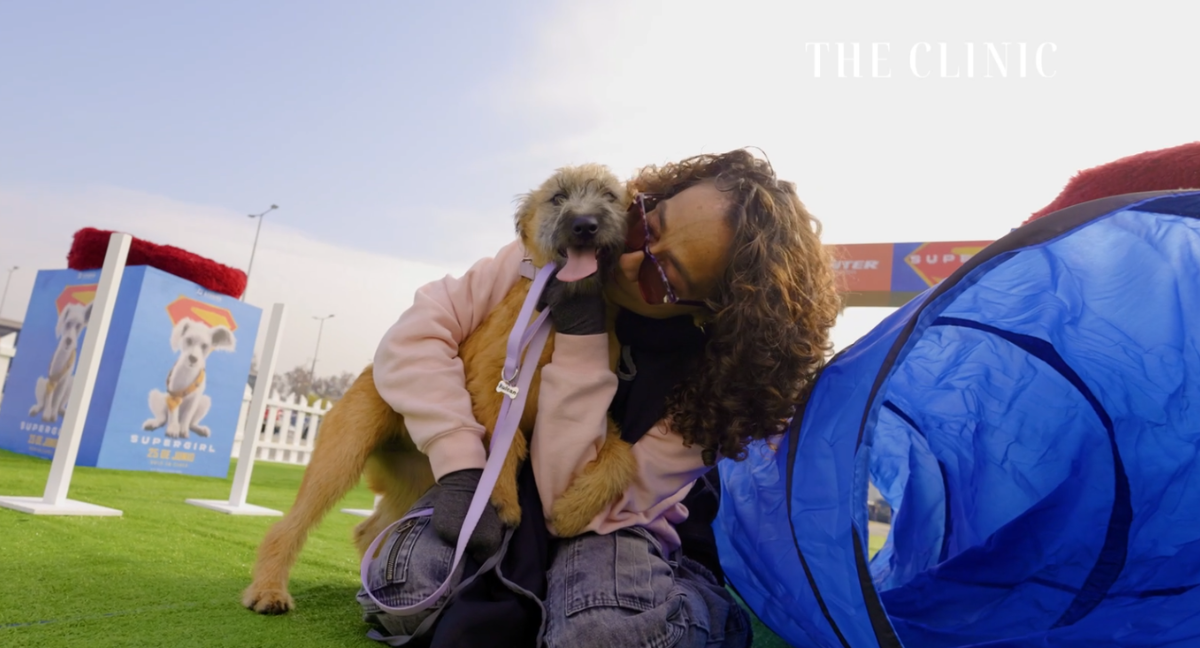 Personas en el evento de Movicenter y Supergirl adoptando perros.