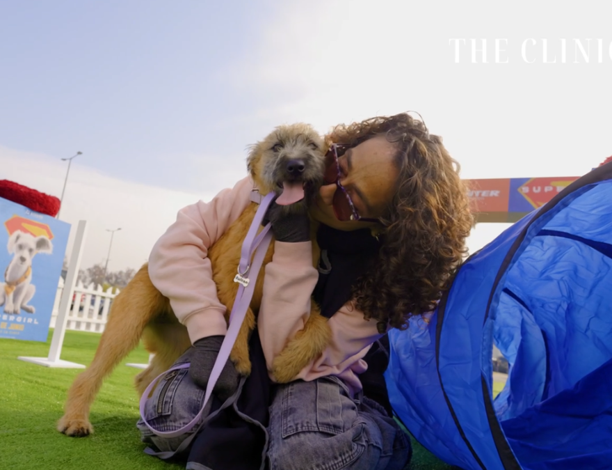 Personas en el evento de Movicenter y Supergirl adoptando perros.
