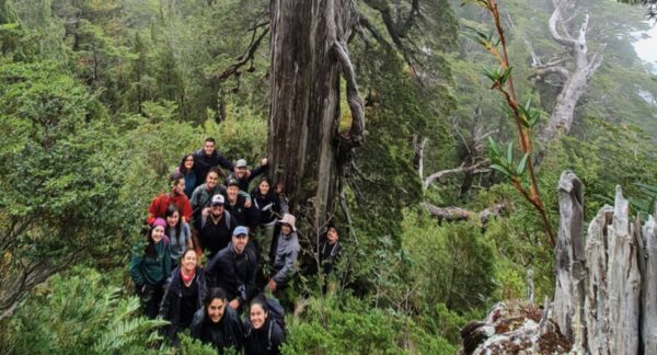 bosque nativo