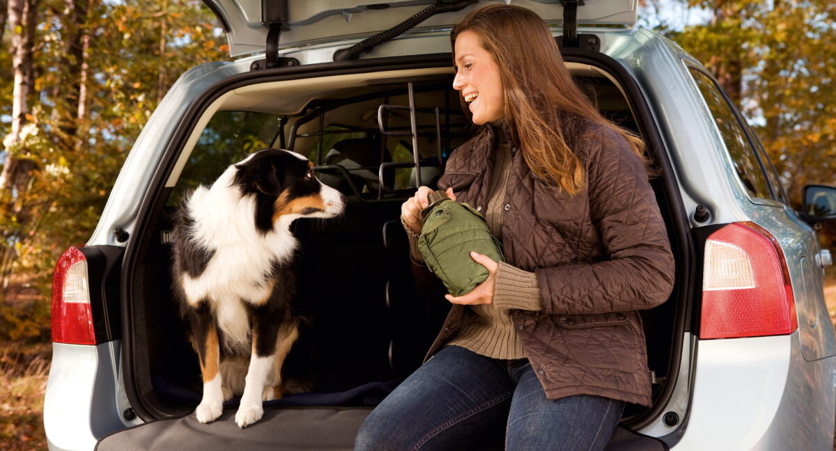autos pet friendly