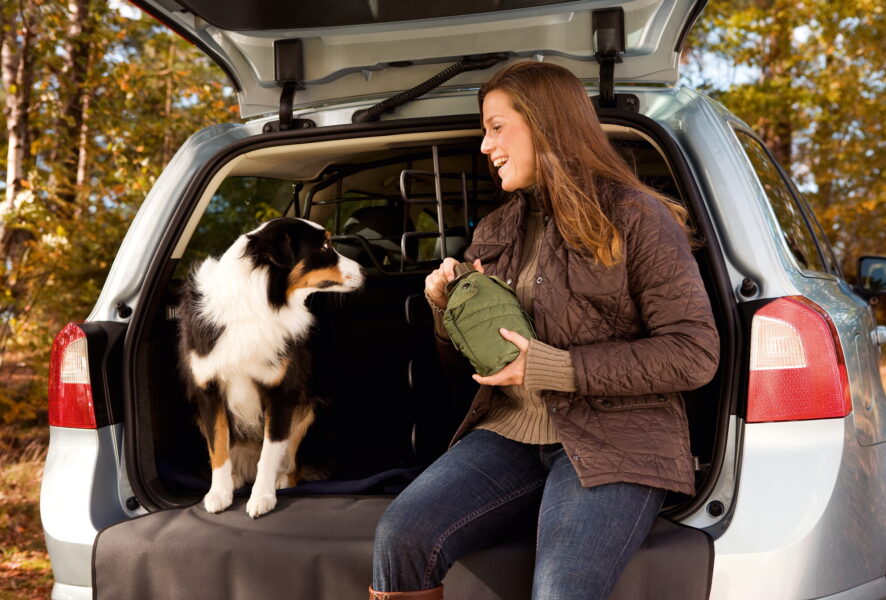 autos pet friendly