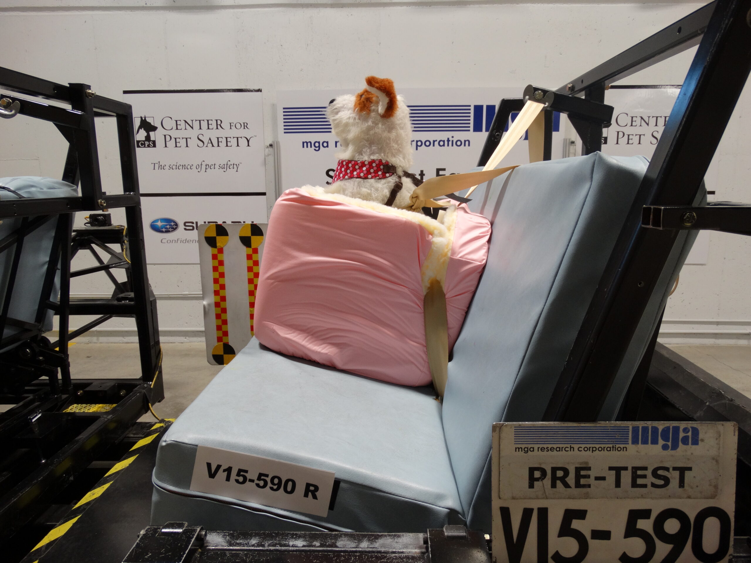 autos pet friendly