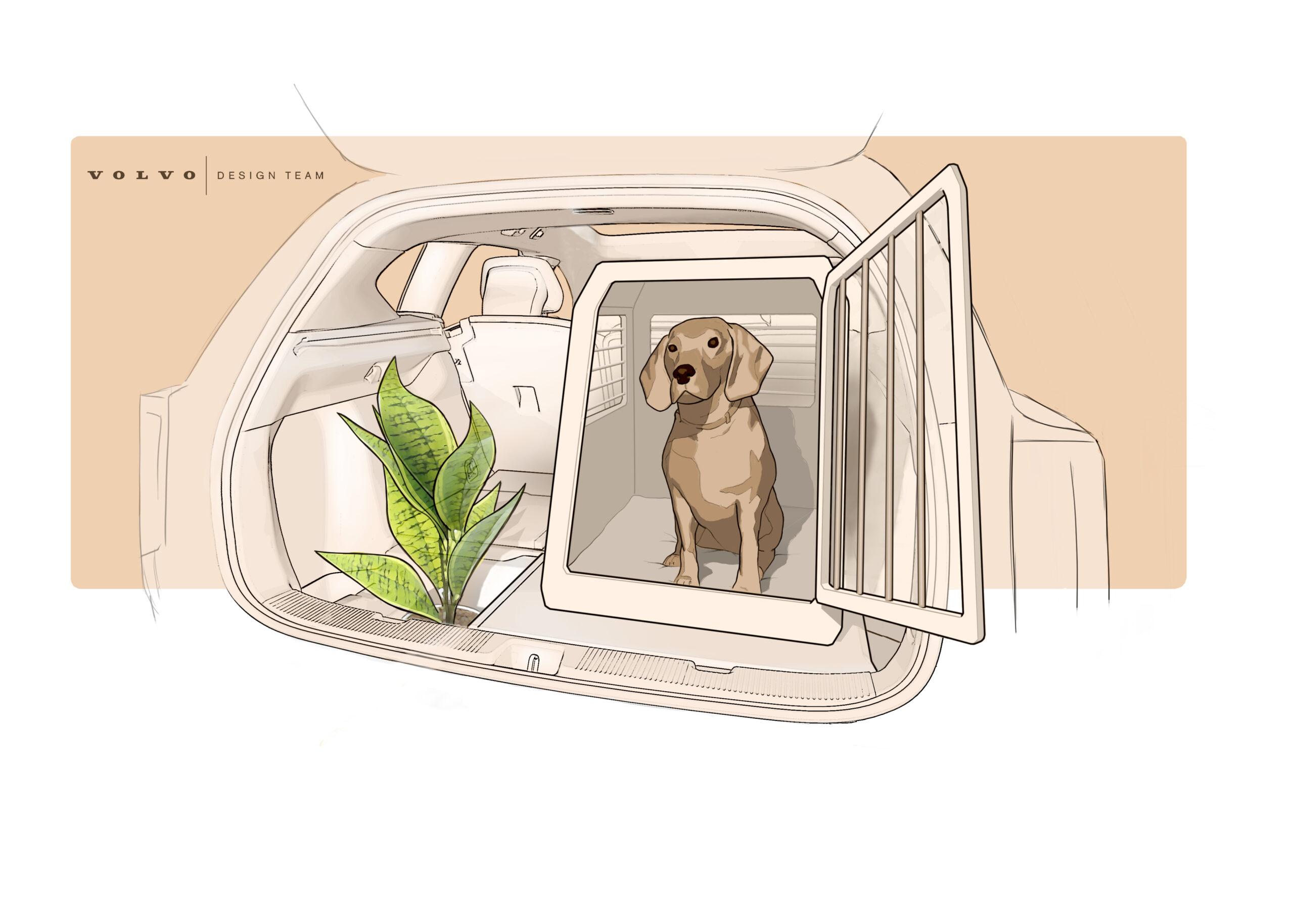 autos pet friendly