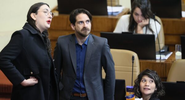 Schneider, Winter y Ñanco