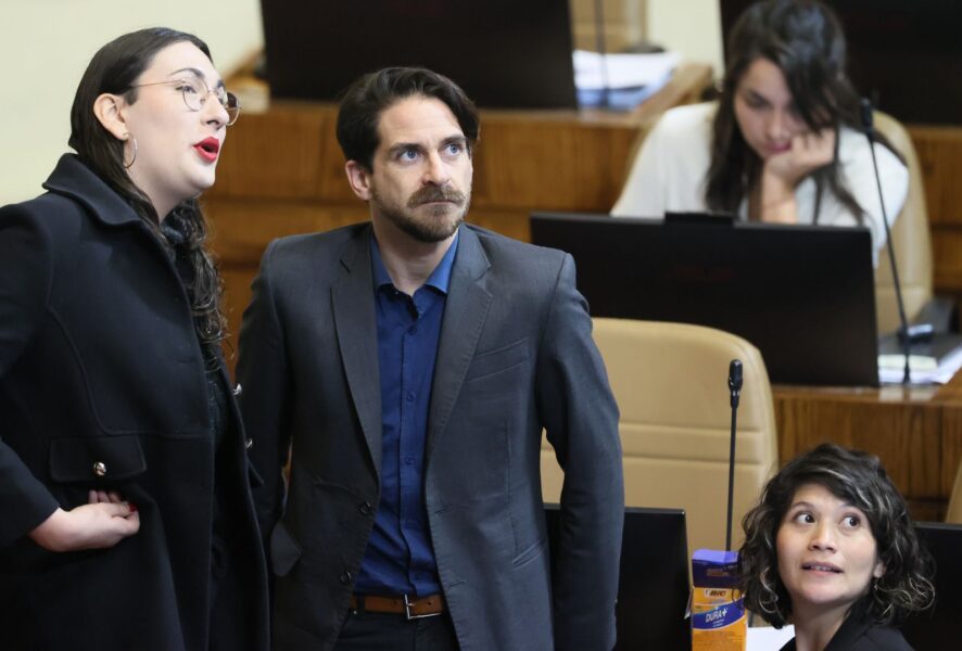 Schneider, Winter y Ñanco