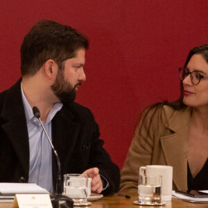 vallejo boric confech
