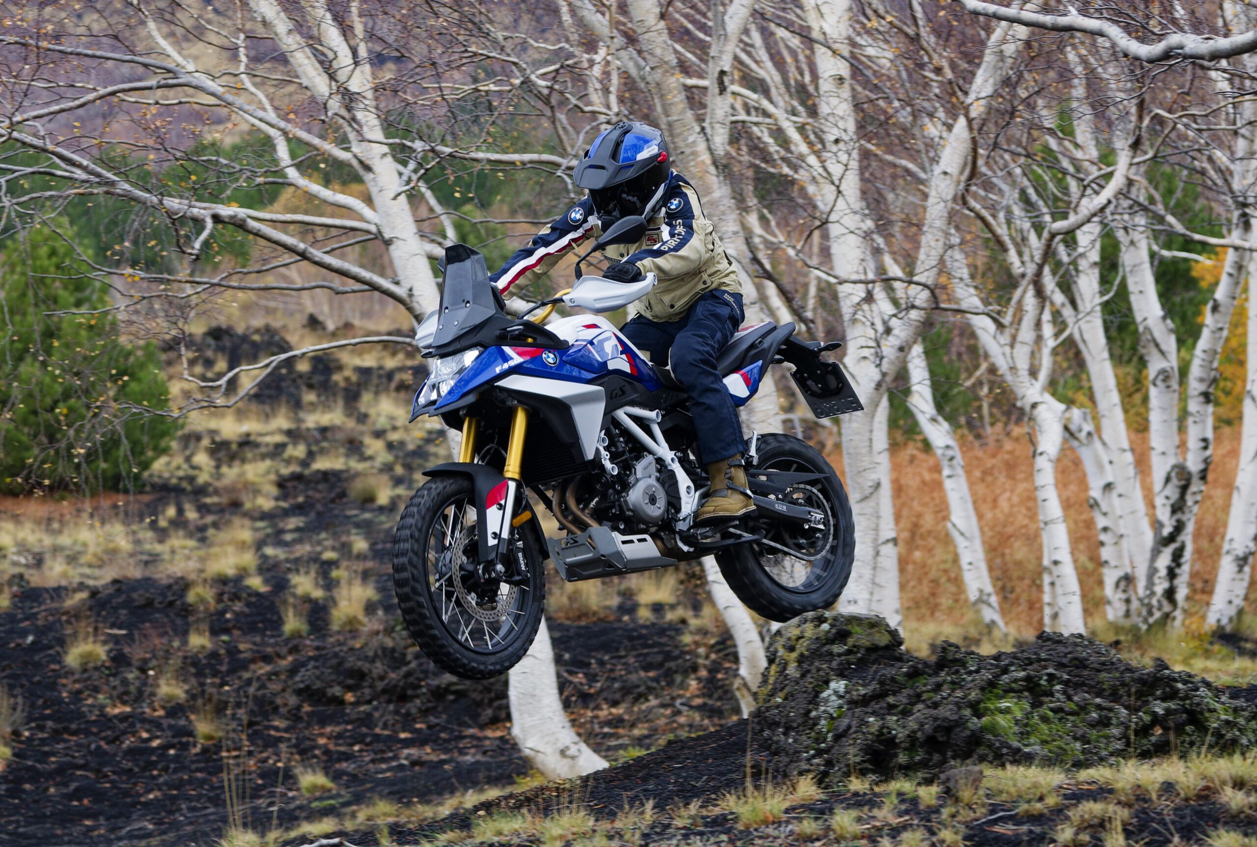 BMW F 450 GS