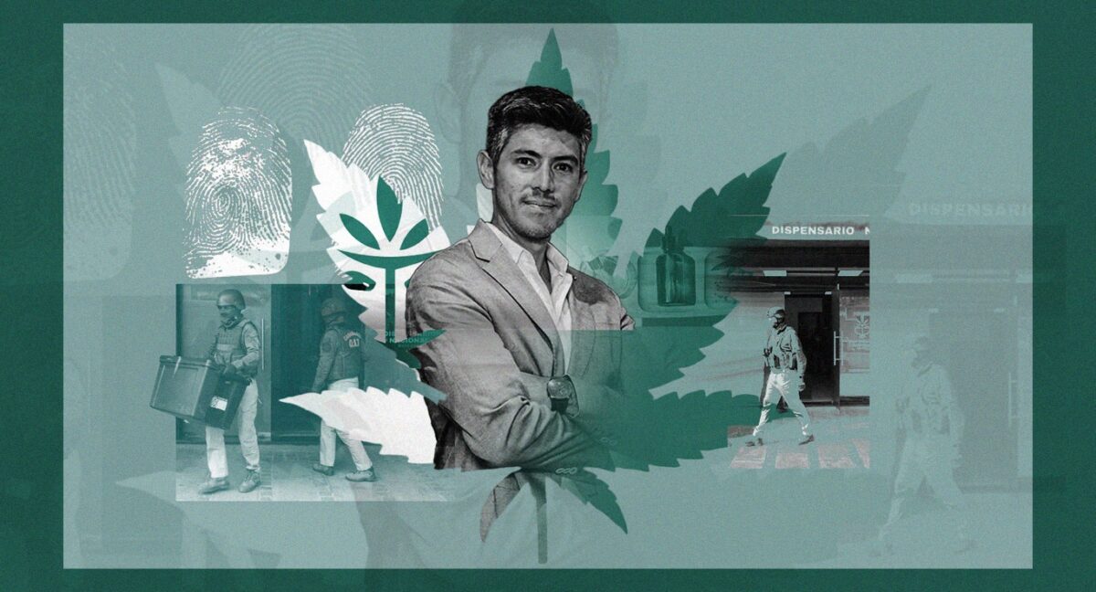 Rey de la weed