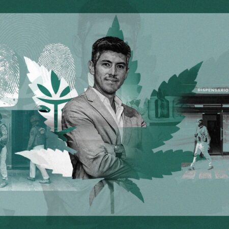 Rey de la weed