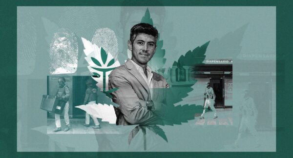 Rey de la weed