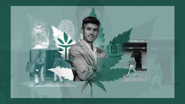 Rey de la weed