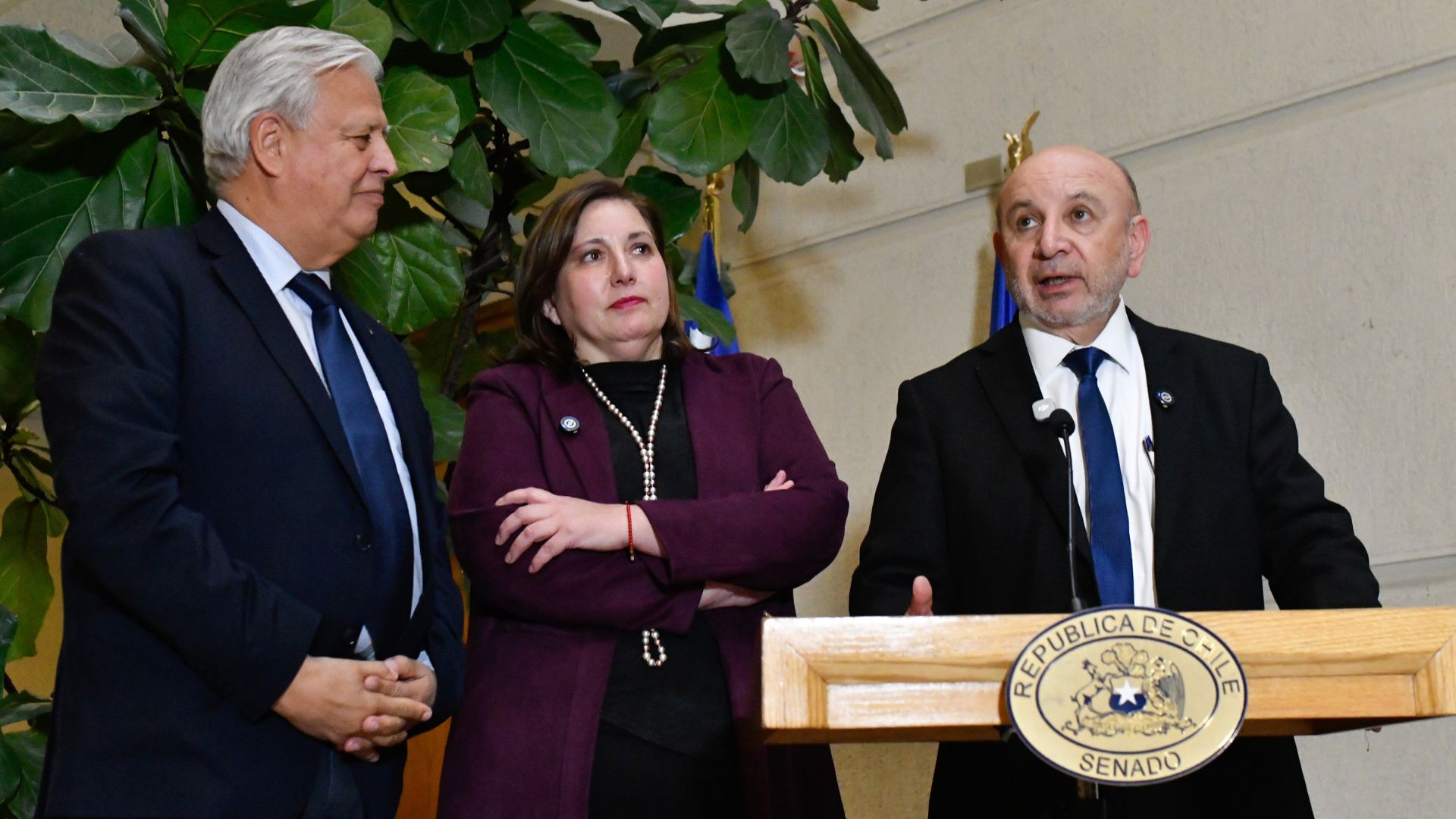 Saavedra Vodanovic y Castro