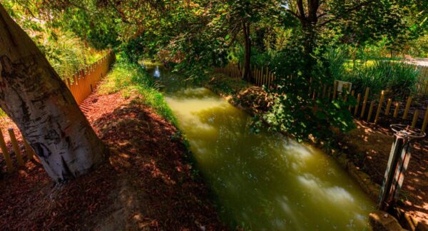 Estero contaminado en Lo Barnechea