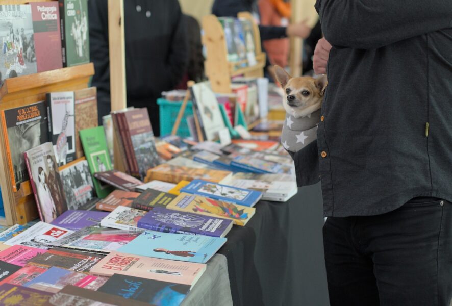 primavera del libro