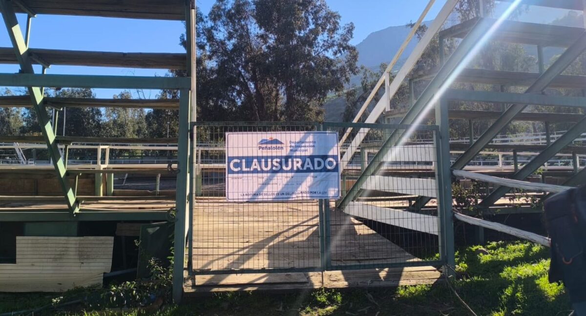 Medialuna Peñalolén