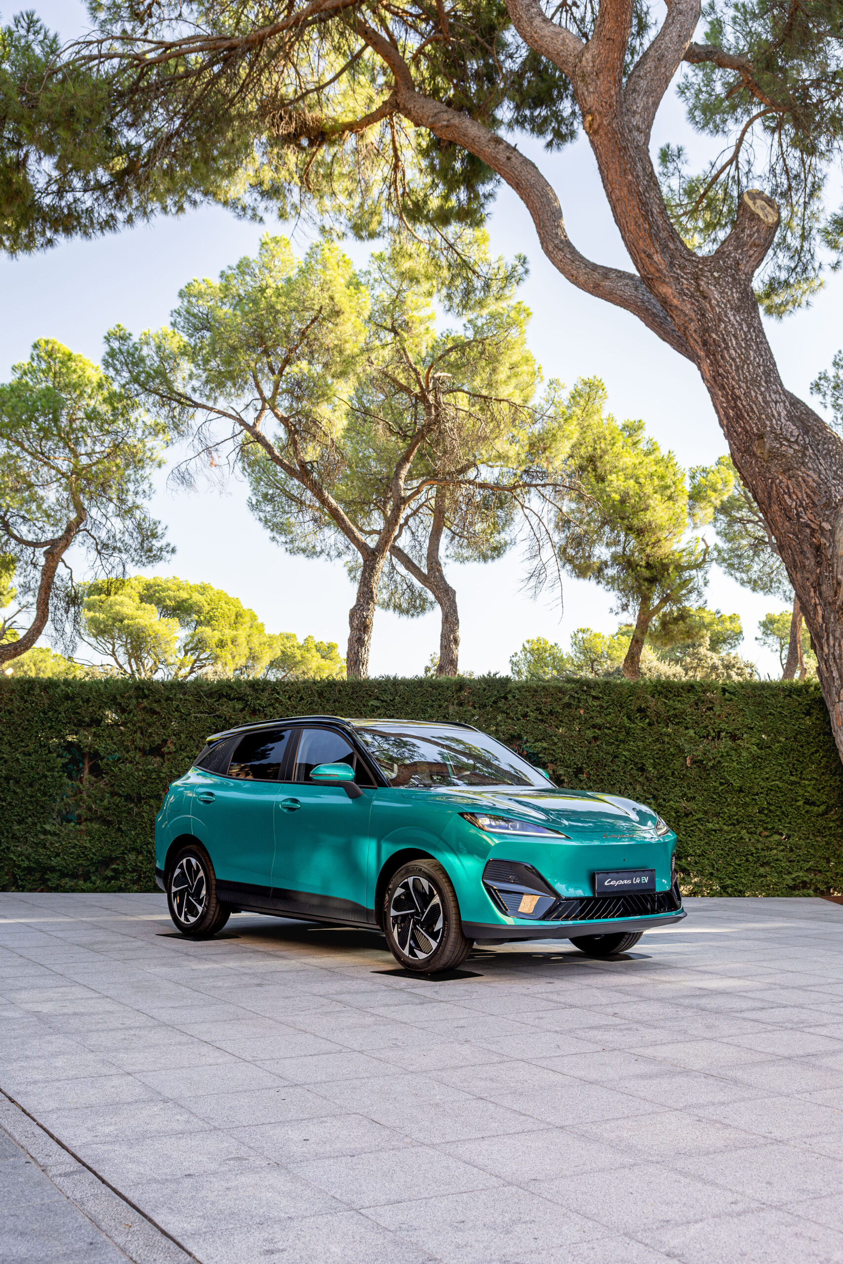 Chery LEPAS Chile