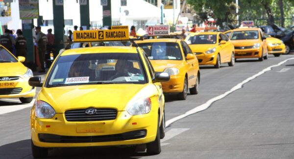 Taxis y colectivos XL